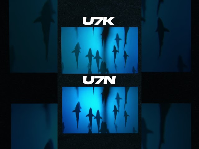 Hisense U7K vs U7N TV