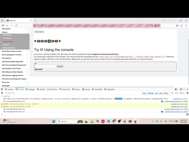 WebGoat - Developer Tools