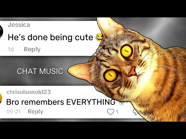 When a Cat Plots Revenge 💀 - Chat Music 