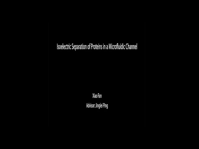 Isoelectric Separation of Proteins in a Microfluidic Channel