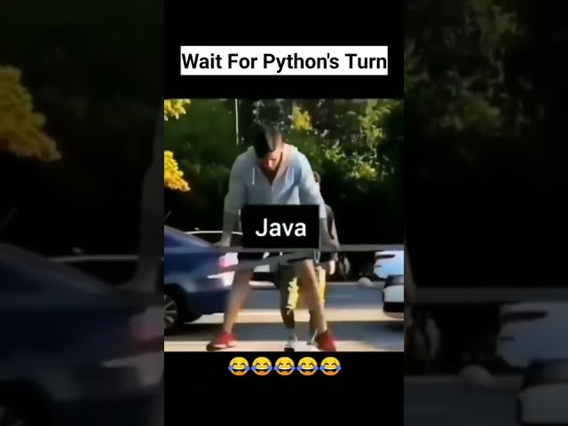 Wait for Python's Turn 😂, Coding Meme, Programming Meme, Python Memes @VastCoding