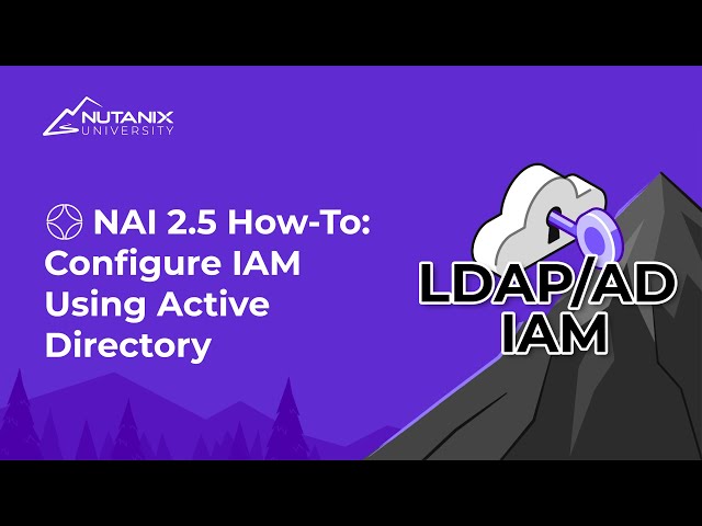NAI 2.5 How To: Configure IAM Using Active Directory