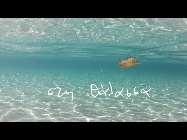MIKRO - "Στη Θάλασσα"