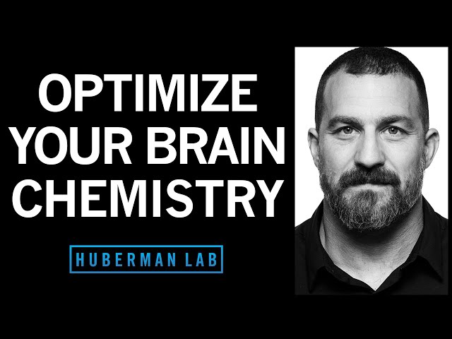 Optimize & Control Your Brain Chemistry to Improve Health & Performance