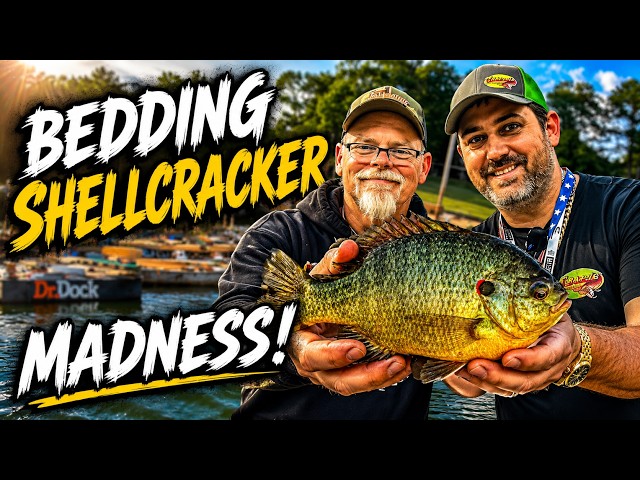 The Shellcracker Spawn Was INSANE!