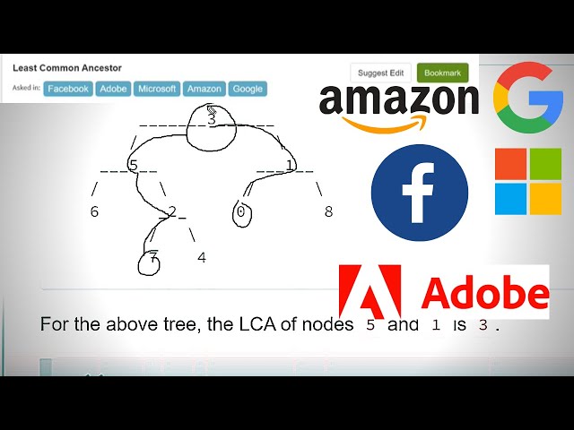 13.31 LEAST COMMON ANCESTOR(Tree)-Interviewbit #tree#programming#bst