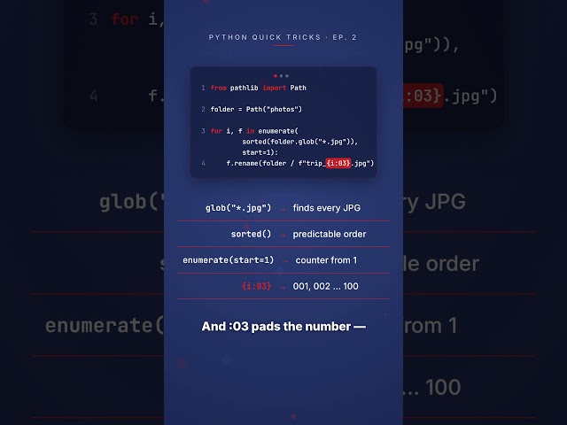 Rename 100 Files with 4 Lines of Python