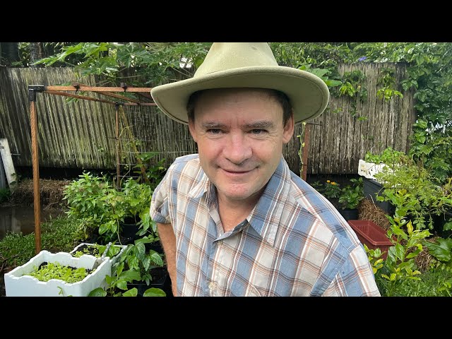 Becoming Truly Yourself