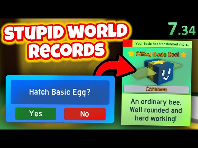 Dumb BSS World Records YOU Can BREAK...