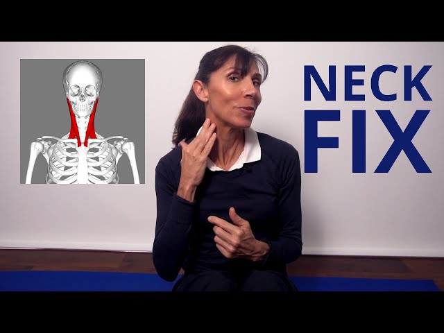 Physio Neck Strengthening Exercises for Neck Pain (Beginners)