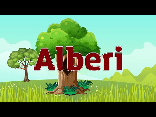 Alberi per bambini | Impara le parti di un albero per i bambini | Parti dell'albero per bambini