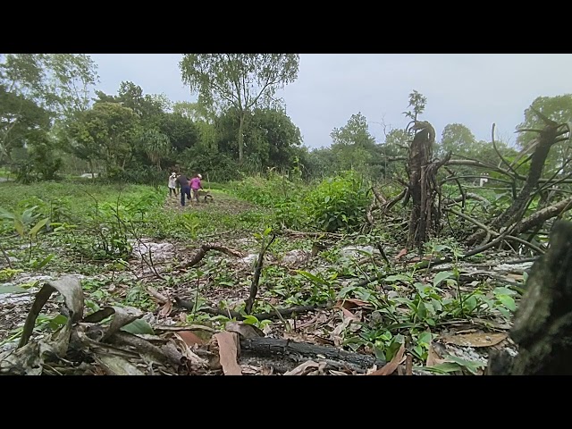 The Beauty of Country Life  Discovering Rural Traditions