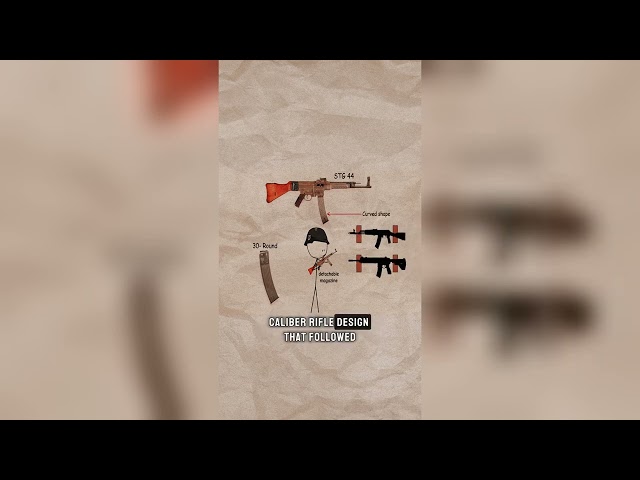Every Assault Rifle Explained #AssaultRifles #MilitaryHistory #WeaponsHistory #Firearms #Milita