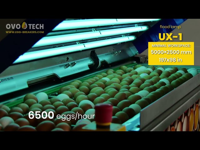 UX egg flood lamps by OVO-TECH