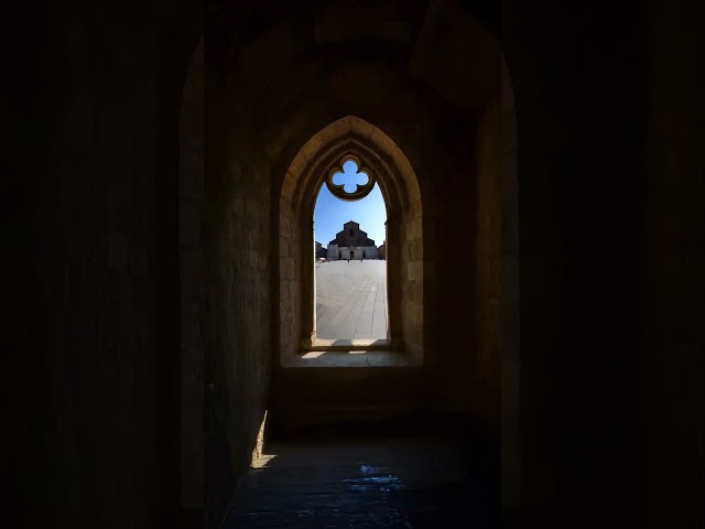 Infinite Pencil Loop ✏️♾️ #loop #infinite #macro #zoom #superzoom #pencil  #art #relax #satisfying