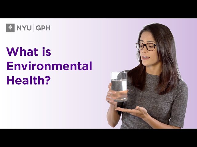 What is Environmental Health?