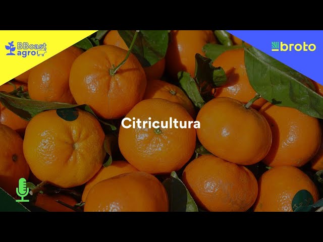 02/12/2021 - ZARC para citricultura