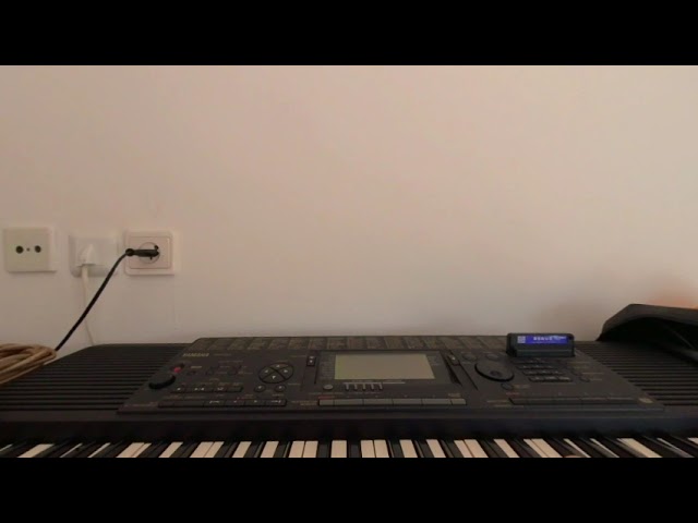 draft - Steel Tongue Drum - check