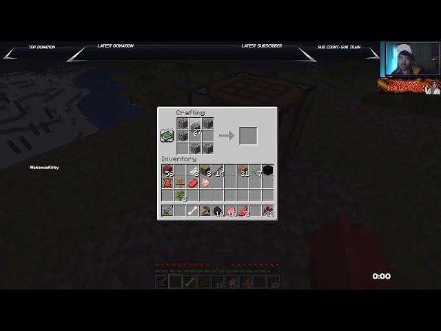 Minecraft crazy time with Skully
