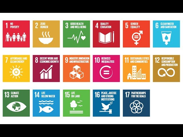 The SDGs:  issues and challenges