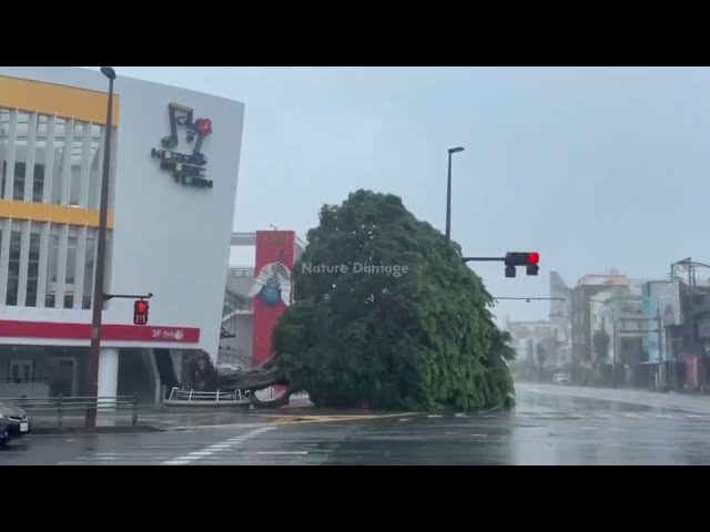 Catastrophic Typhoon Jangmi Hits In Japan Today! Homes, Cars Destroyed in Okinawa