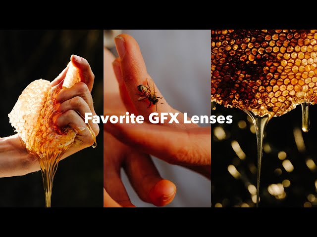 My Favorite Lenses for the GFX System
