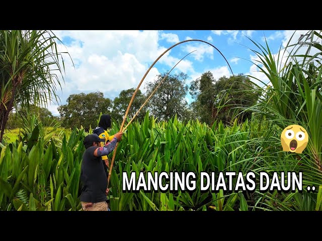"TRADITIONAL FISHING" MANG GUPP .. IS ONE OF THE FISHING TECHNIQUES THAT IS ALMOST EXTINCT .. 😰😰 ..