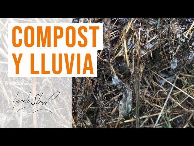 Compost y lluvia