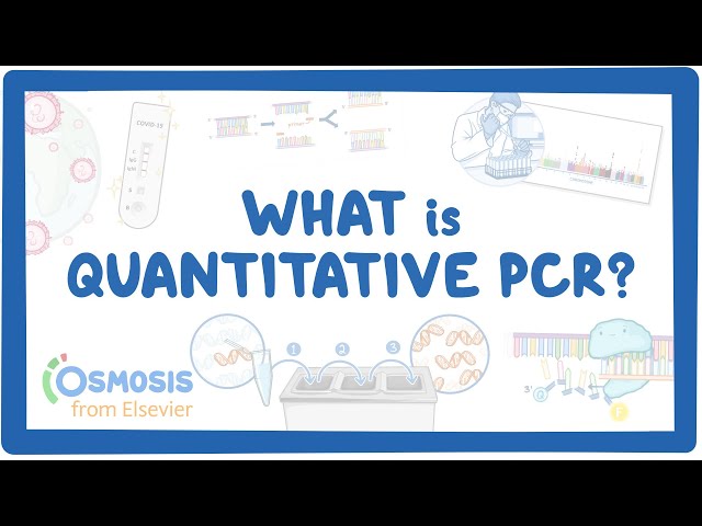 What is Quantitative PCR?