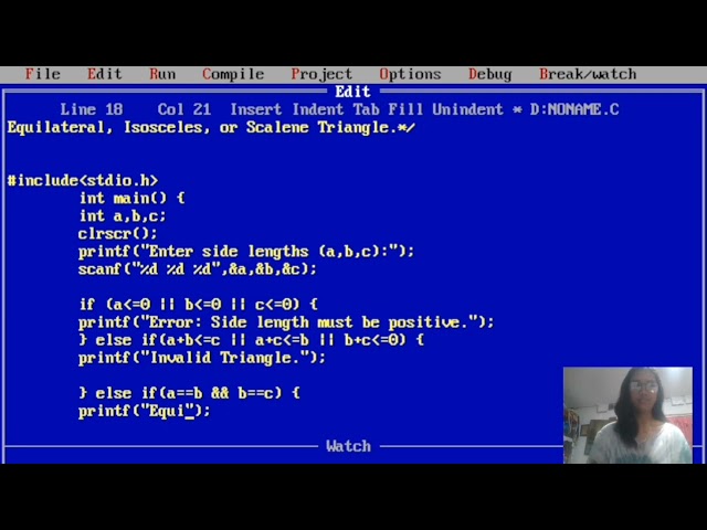 C program using DOSBOX