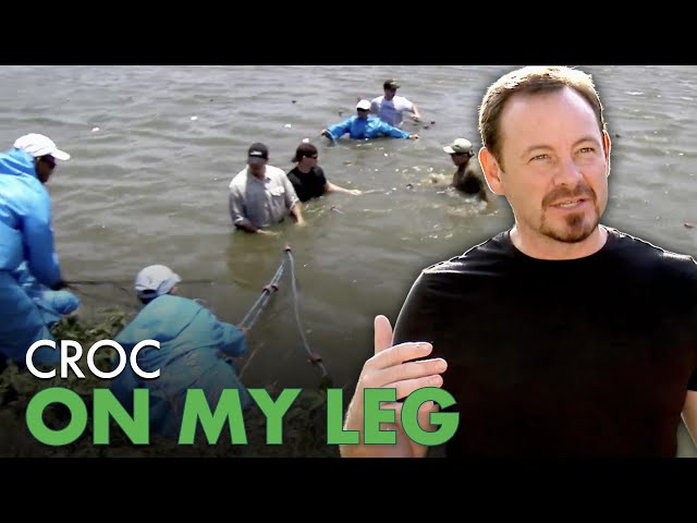 Barehand Crocodile Capture in Costa Rica Waters | Python Hunters