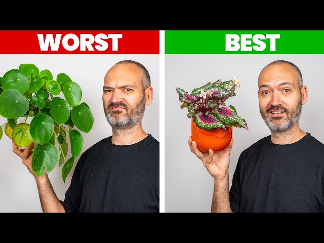 Ranking Plants From Easiest To Hardest