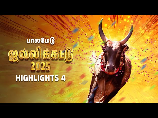அவனியாபுரம் ஜல்லிக்கட்டு 2025 | Jallikattu 2025 | பாலமேடு 4 | Popular Tamil Nadu Festival @zeetamil