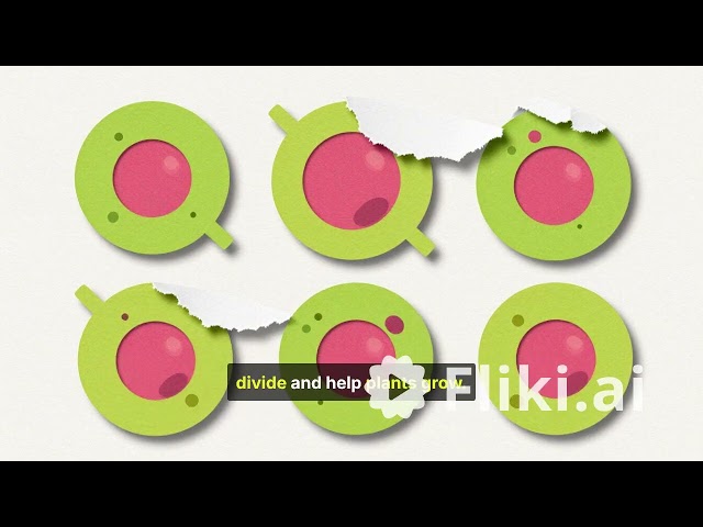 Class 9 Chapter 6 Tissues || Full explanation by animation || #tissue #class9 #study 