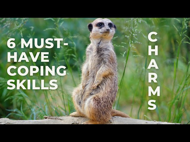 6 Must-Have Coping Skills