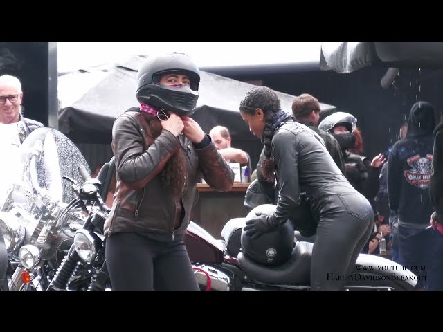 Harley-Davidson Sportster Rider #harleydavidson #harleygirl #harley #exhaust #motorcycle #sportster