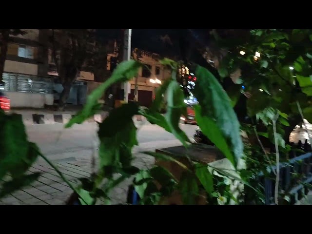 Mandaram puvvu | Mirapakaya pulu | hibiscus Flower