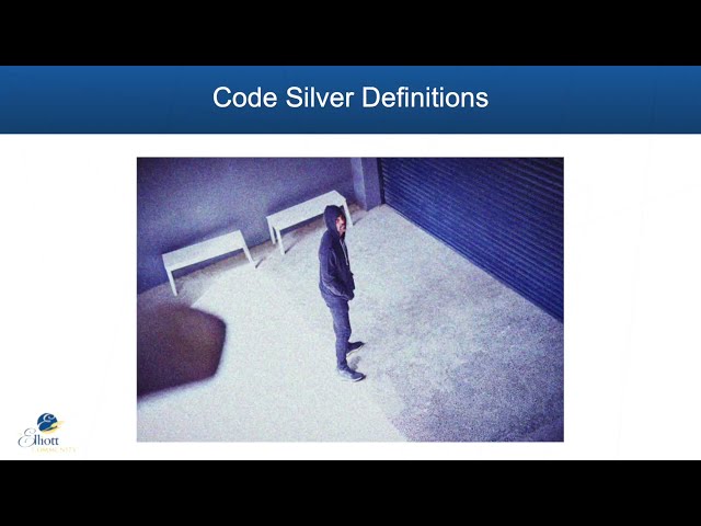 TEC Code Silver Armed Intruder