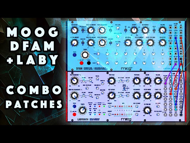 Moog DFAM+Labyrinth 50 Combo Patches + Samples. Sound Demo