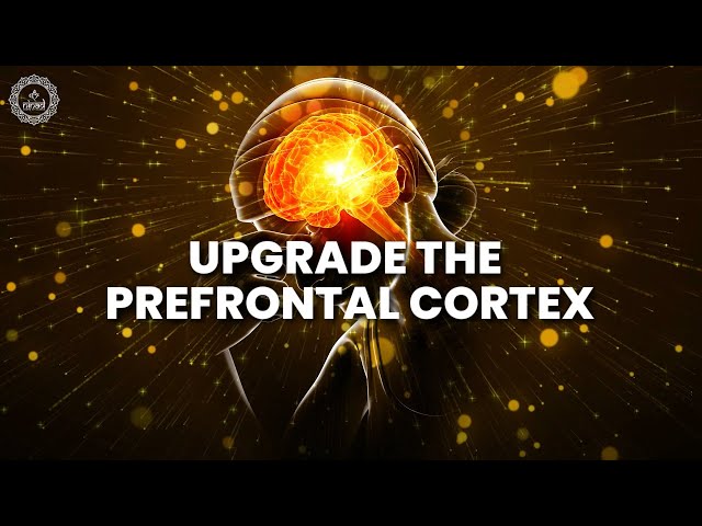 Upgrade The Prefrontal Cortex | Unleash Your Cognitive Superpowers & Brilliance | Alpha Waves Music