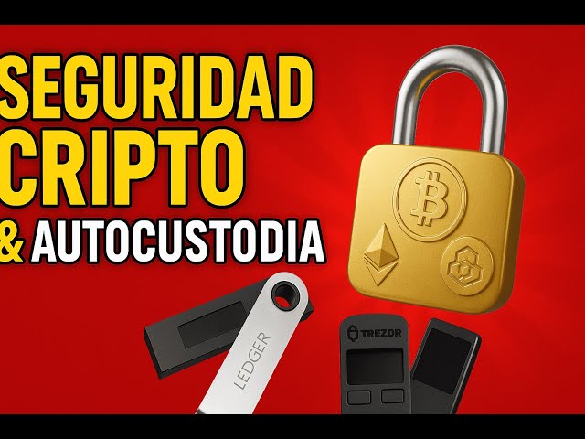 ¡HAZ ESTO ANTES DE INVERTIR! 🛑 Guía Definitiva de Seguridad Cripto y Wallets