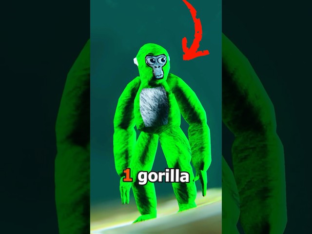 Where Are The LEGS? #gorillatag