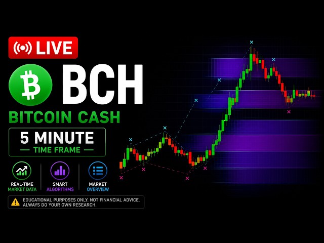 BCH BITCOIN CASH LIVE CHART