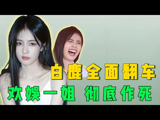 内娱否定别人第一人！白鹿一款反驳行艺人，从"欢娱一姐”到“精神男人”再到最近口碑全面翻车，深度剖析白鹿如何一步步作死的!!#白鹿 #明星 #娛樂 #娱乐评论大赏 #综艺 #娱乐
