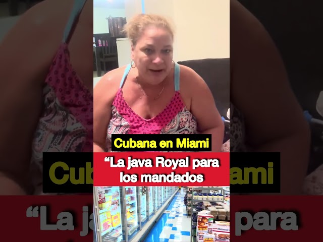 Cuban in Miami: The Royal Java for errands 🫨