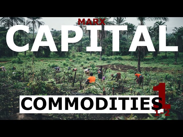 Understanding Marx's Capital Volume 1 Chapter 1 - Commodities (Sections 1-2)
