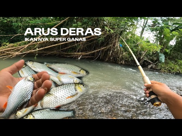 FISHING WADER BREK IN A STRONG CURRENT SPOTS ‼️THE SENSATION OF PULLING IT IS INSANE
