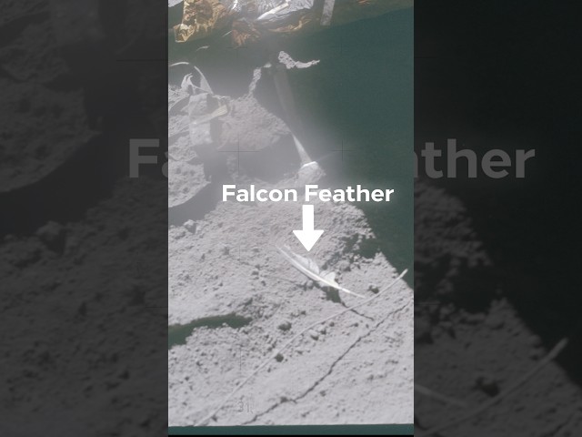 Astronauts left some weird stuff on The Moon!