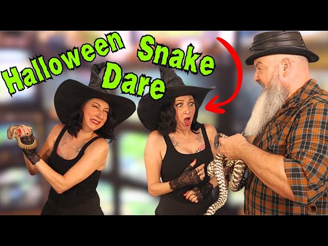 I Dared a Snake-Phobic Witch to Hold Snakes for Halloween
