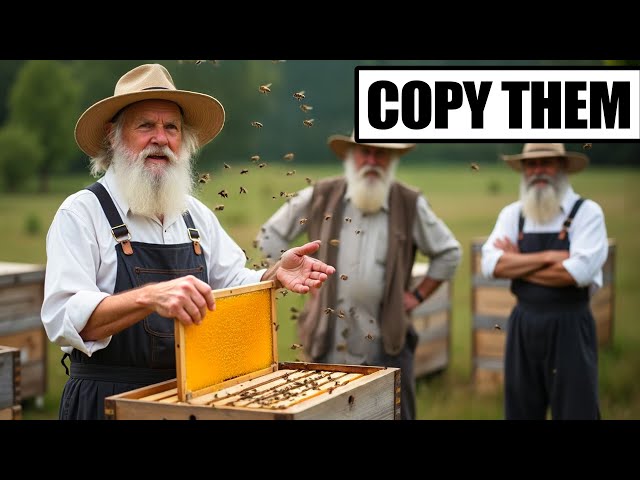 How Amish Raise Bees For Honey Without Modern Equipment